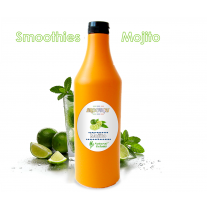 Smoothies Mojito -  Natutal Gelatti - 1,1 Kg