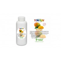 Topping Líquido -  Natutal Gelatti - Mango - 1,2 Kg