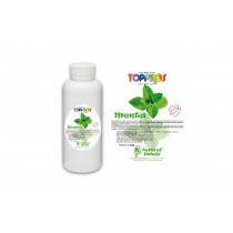 Topping Líquido -  Natutal Gelatti - Menta - 1,2 Kg