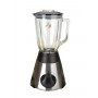 Batidora de Vaso eléctrica  - Smoothies/Batidos.