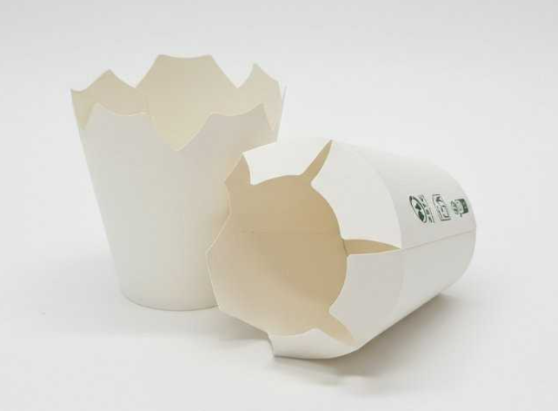 VASOS REVOLUTION 